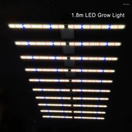 Grow Lights 2023Latest Upgrade LED Light 1000W Biggest 6ft 1.8M Full Spectrum Bar Commercial Dimmable Veg Flower Phytolamps