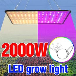Plant Grow Light 2000W Flower Phyto Growth Panel Lamp LED Full Spectrum Seedling Fito EU US UK Plug Veg 240 Lights2135