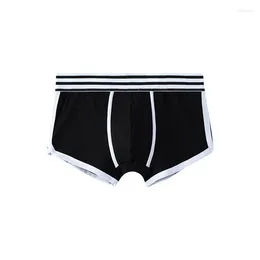 Underpants Men's Underwear Pure Cotton Boxer Shorts Comfortable And Breathable Solid Color Sports