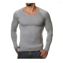 Men's T Shirts Solid Color Striped Long Sleeve Round Neck Top