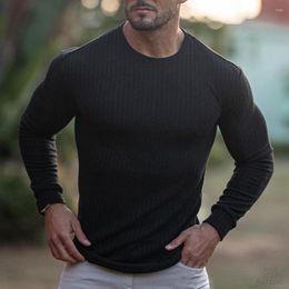 Men's T Shirts Fitness Casual Stand Collar Elastic Vertical Bar Round Neck Long-Sleeved T-shirt Sports