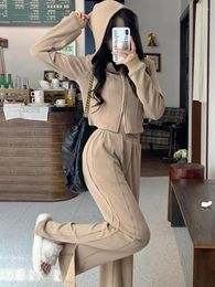 Women's Two Piece Pants Casual Khaki Blazer Outfits 2 Set Women Hooded Long Sleeve Zipper Short Top Wide Leg Winter Fashion 2023 Solid Suit