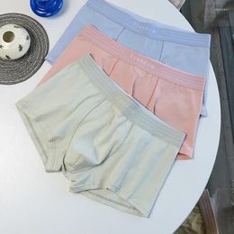 Underpants Pink Trend Men's Underwear Pure Cotton Boxer Shorts Breathable Simple Low Waist Sexy Boxers Young Boys