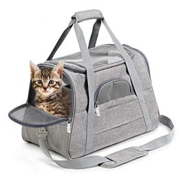 Portable Cat s Bag Multi-Ventilated Tote Bag Breathable Mesh Pet Outdoor Travel Handbag With High Quality Zipper 231221