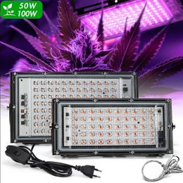 Full Spectrum LED Grow Light 50W 100W Greenhouse Phyto Lamps LEDs Plant Grows Lamp Outdoor Floodlight Spotlight167O