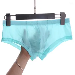 Underpants Men Ice Silk Boxer Briefs Pouch Bulge Male See Through Lingerie Summer Cool Low Waist Knickers Thin Bikini Underwear