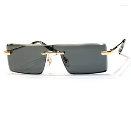 Sunglasses Rectangular For Unisex With The Same 2023 Fashion Retro Design Gradient Lenses One Frame
