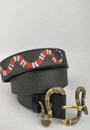 Designer Belt Luxury Big Snake Buckle Belts Fashion Men Women Real Leather Belt Width 38cm2371554