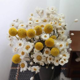 Decorative Flowers Natural Dried Craspedia Billy Balls Bouquets Arrangements For Boho Baby Shower Party Table Decor Fall Home Decorations