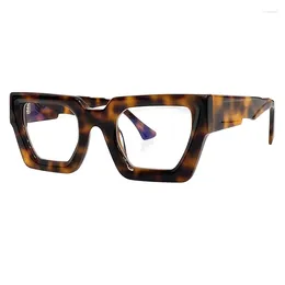 Sunglasses 2023 Thick Frame Trend Glasses Gradient Fashion Colour Large Transparent Dark Lens