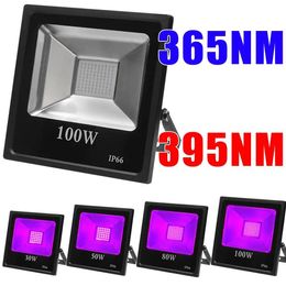 Floodlights 365NM 395NM LED UV Floodlights 30W 50W 100W SMD 3030 85V265V IP65 Waterproof UVA Lights EU UK US Plug DJ