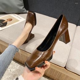 Dress Shoes Temperament Retro Thick-Heeled Single Shallow Mouth Square Toe Small Leather Brown Platform Party Ladies Pumps