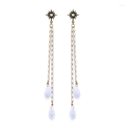 Dangle Earrings Bohemia Long Tassel Water Drop For Women Enamel Snowflake & Star Jewelry Accessories Wholesale