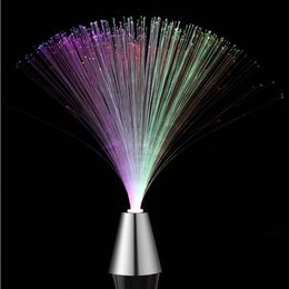 Colourful LED Optical Fibre Lantern Light Night Atmosphere Night Lamp With Battery Home Supplies Festival Atmosphere Wedding243K