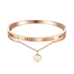 Fashion luxury designer beautiful sparkling diamond zircon heart charms bangle bracelet for woman girls 17 cm rose gold titanium s315m
