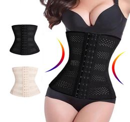 Womens S3XL Sauna Tummy Control Female Body Trainer Modelling Belt Shapewear Breathable Hole Slim Waist Cinchers Corset6920927