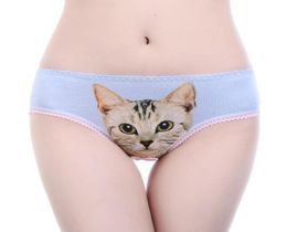 Women039s Panties Sexy 3D Cat Print Underwear Clothes Women Funny Female Lingerie Briefs Low Waist Comfortable Underpants Short3837501