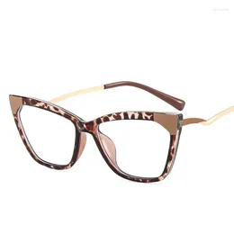 Sunglasses Frames European American Style Frame Glassess Women Cat Eye Shape TR90 Material Women's Glasses Anti Blue Light