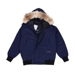 Canda Goose Jacket Designer Goose Hoat Зимняя пилотная куртка дизайнер мужчина женщин вниз по парке Homme верхняя одежда 1781 Gooseberry