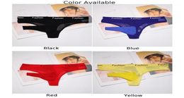 Underpants Men Lace Seethrough Underwear Sexy Sissy Bugle Pouch Briefs Long Penis Bag Thong Panties Solid Porn Lingerie UltraThi3631407
