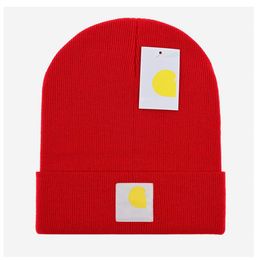 Winter hat warm designer beanie high quliaty sport wool bonnet for men women letter skull caps mens beanie hats soft cuffed brim O-6