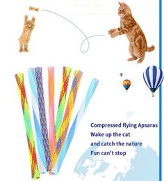 Retractable Cat Teaser Funny Cat Stick Cat Toy Cats Teaser Wand Kitten Colorful Spring Tube Pet Action Interactive Toys Toy8169831