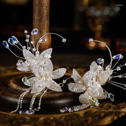 Dangle Earrings Bridal Tiara Crystal Beaded Earhooks Stylish Temperament Fringed Wedding Hair Accessories