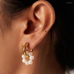 Hoop Earrings Natural Freshwater Pearl 18K Gold Plated Stainless Steel Earring Cultured White For Women Jewellery Wholesale