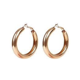 Fashion Gold Silver Plated Circular Earrings for Women Lady Simple Versatile Dangle Huggie Hoop Earring Demon8682588