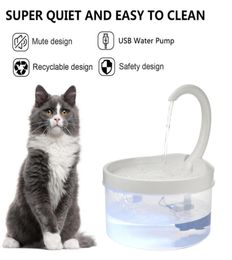 2L Fountain LED Pet Cat Feeder Blue Light USB Powered Automatic Water Dispenser Drink Filter For Cats Dogs Pet Supplier6340663