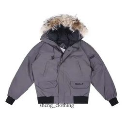 Canda Goose Jacket Designer Goose Hoat Зимняя пилотная куртка дизайнер мужчина женщин вниз по парке Homme верхняя одежда 7293 Gooseberry