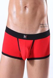 Underpants Man Seamless Cotton Underwear Male Sexy Penis Pouch Boxers Shorts Gay Mini Trunks Panties WangJiang Brand1144958