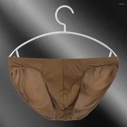 Underpants Men Ice Silk Lingerie Scrotum Pouch Underwear Low Waist Breathable Briefs Sexy Seamless Thong Skin Friendly Soft