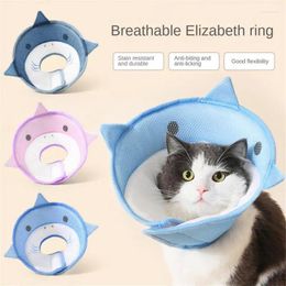 Dog Collars Puppy Neckwear Adjustable Anti-bite Pet Protected Prevent Elizabethan Collar With Straps Cat Hat