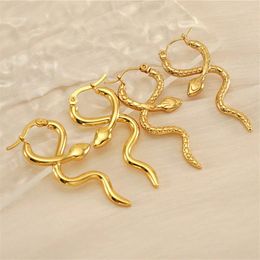 Hoop Earrings Fashion 18K Gold Plated Stainless Steel Snake Shape Earring For Women Girls Party Jewellery Gift E2187