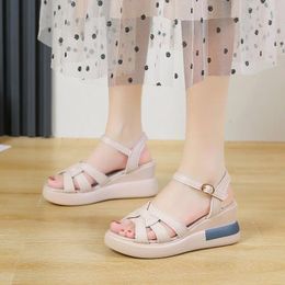 Sandals Bow Wedge Women's 2024 Summer Cross-strap Roman Simple Fish Mouth Shoes