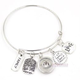 Whole Snap Jewelry Adjustable Expandable Wire Bangle Memorial Family Tree Charm Bracelets Snap Button Bracelets for Family Gif227W