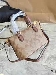 Designer Handbag Shoulder Chain Bag Clutch Flap Totes Bags Wallet Cheque Velour Thread Purse Double Letters Stripes Women Handbags Evening Bags #20cm