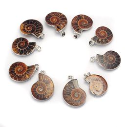 Natural Stone Chrysanthemum Fossil Pendant Silver Plated Bail Men and Women Fashion Jewellery Popular Minimalist Style260h