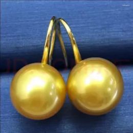 Dangle Earrings PAIR 10-11MM NATURAL SOUTH SEA GENUINE PERFECT GOLD PEARL EARRING UNIQUE