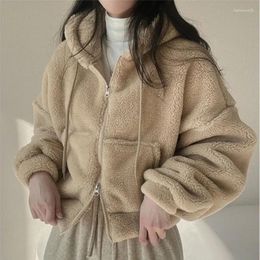 Women's Hoodies Women Lamb Fleece Solid Colour Autumn Winter Zipper Jackets Thicken Warm Hooded Coats Ladies Casual Plush Outerwear