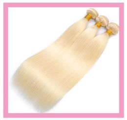 Indian Blonde Color Virgin Human Hair Extensions 1030inch Double Wefts Silky Straight 6135041684