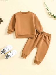 Clothing Sets Late Autumn Winter Kids Long Sleeve Cotton Embroidery Solid Casual Slimple Hoodies+Capri Pants 2PCS Children Outfits