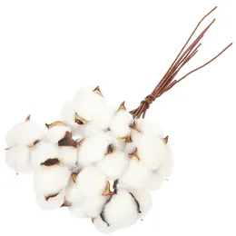 Decorative Flowers 1 Set Dried Cotton Balls White Branch Picks DIY Dry