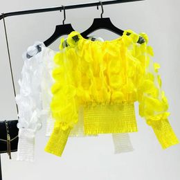Shirts Women Perspective Mesh Spliced Chiffon Shirts Slash Neck Gauze Blouses 3d Flowers Crop Tops Slim Lantern Sleeve Blusas Mujer