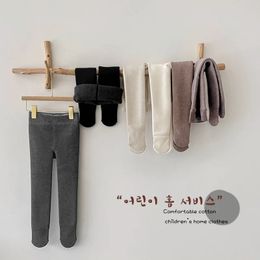 가을과 겨울 봉제 및 두꺼운 올인원 소녀의 바닥 바지 램 벨벳 슬리밍 바닥 양말과 팬티 스타킹 231225