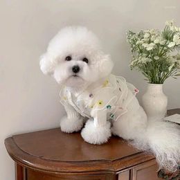 Dog Apparel Sweater Flower Embroidery Knit Teddy Warm Winter Coat Classic White Chihuahua Pet Clothes Beautiful Open Button Shirt XS