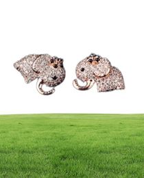 New luxury inlaid zircon highend earrings fashion cute baby elephant earrings Jewellery S925 silver needle sexy rose gold gift earr7582990