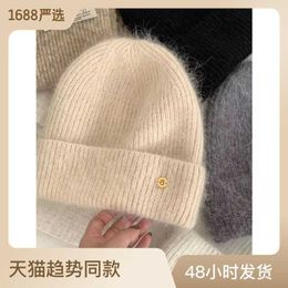Celebrity Same Style Rabbit Hair Hat Children's Korean Edition Simple and Casual Warm Knitted Hat Versatile on the Street Warm Knitted Hat Winter