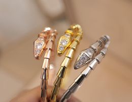 Designer Bracelets Bangles for Couples Lovers Wedding Special Gift with 925 Silver 18k Gold Diamond ne Men Women Love Bracelet3626298